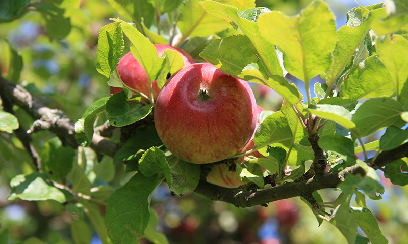 热烈庆祝深圳市威诺华化工材料有限公司官网上线成功！